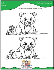 okul öncesi İki Resim Arasındaki Farkı Bul